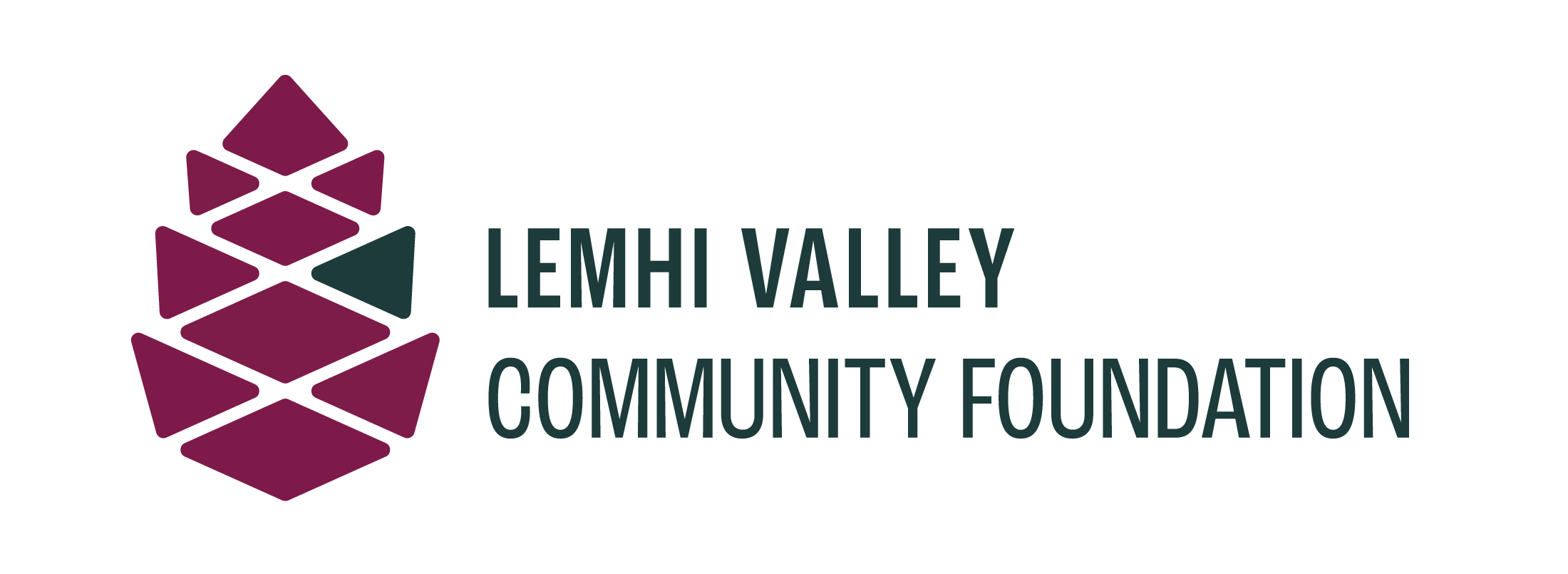 Lemhi Valley Community Foundation logo